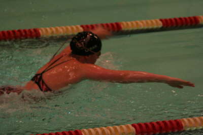 Lansing Schools (11)