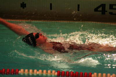 Lansing Schools (17)