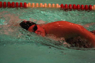 Lansing Schools (23)