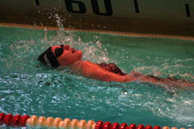 Lansing Schools (40)