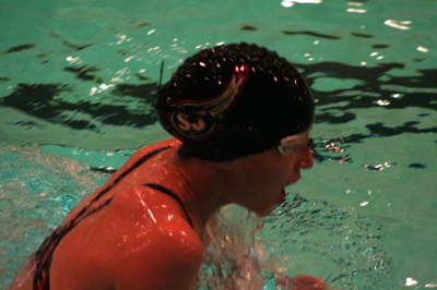 Lansing Schools (43)