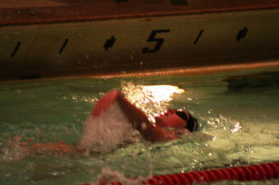 Lansing Schools (44)