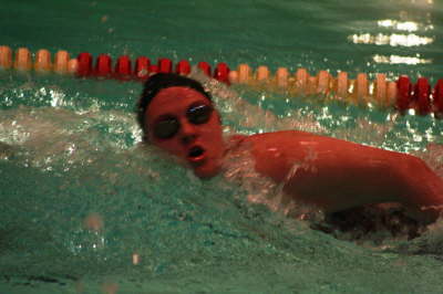 Lansing Schools (46)