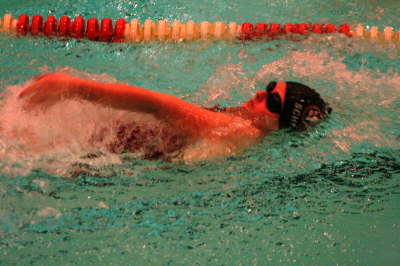 Lansing Schools (61)