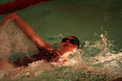 Lansing Schools (63)