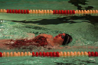 Lansing Schools (66)