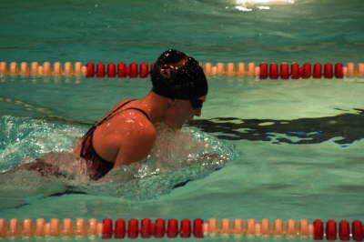 Lansing Schools (74)