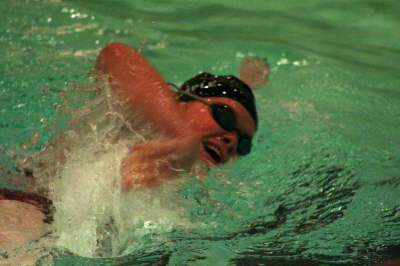 Lansing Schools (83)