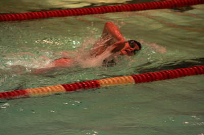 Lansing Schools (91)